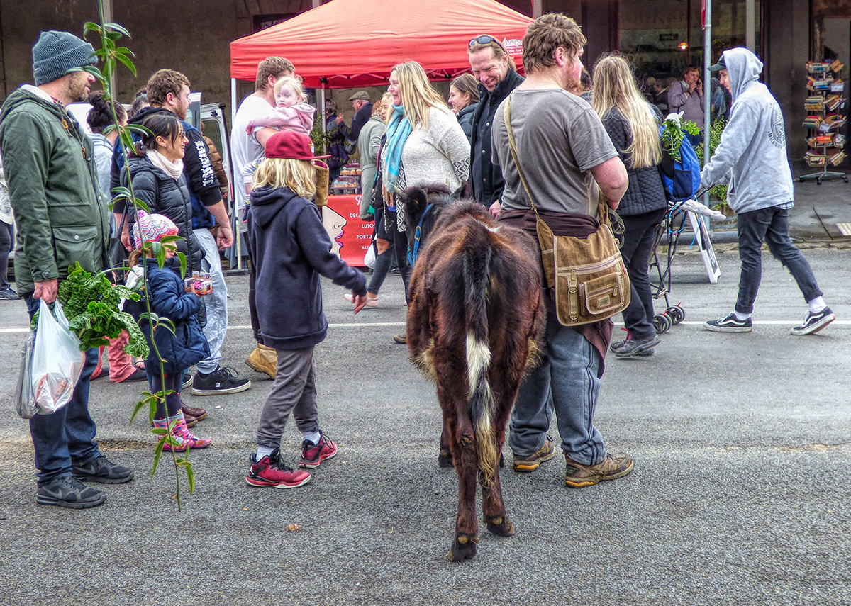 Jack and his Cow at the Market, Waiting for an Offer of some Magic Beans