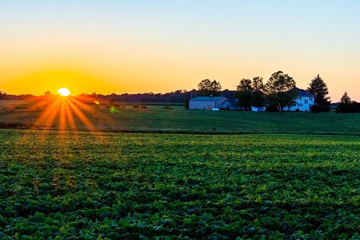 Sunset In The Heartland