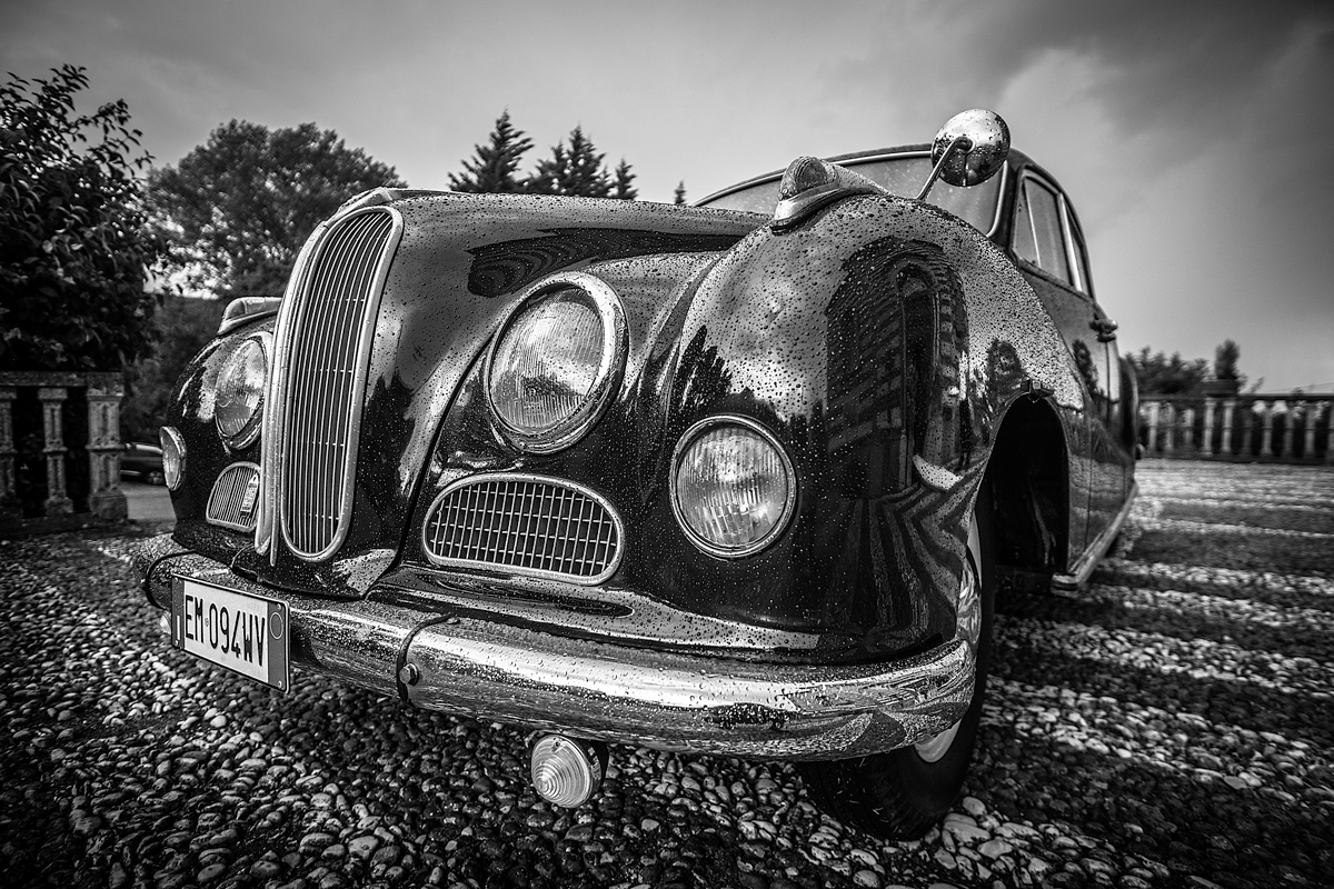 Old Beauty