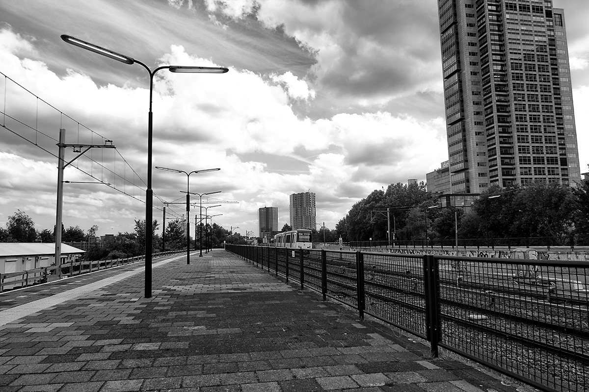 City transport