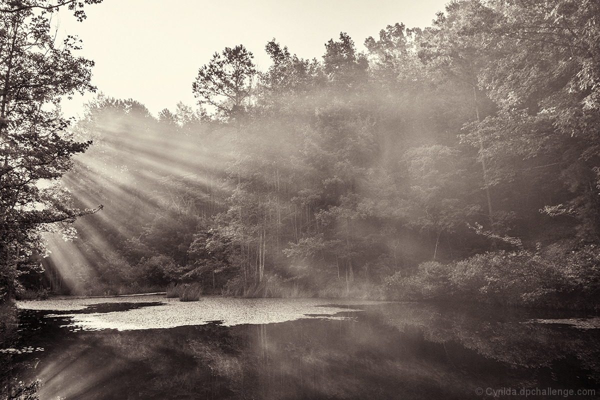 Early morning sunrise