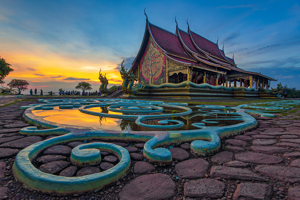 Sunset glow against luminescent patterns of roots leading to the Tree of the Temple