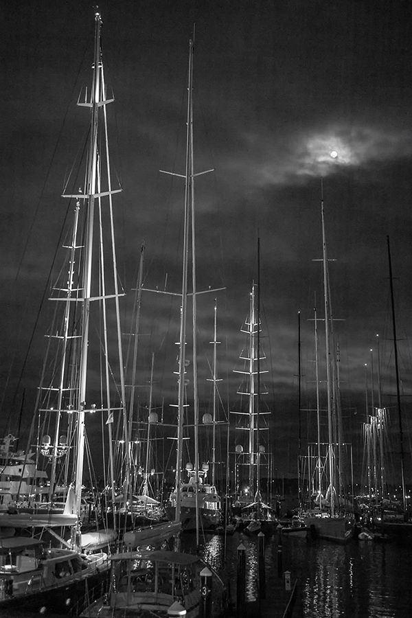 masts in moonlight