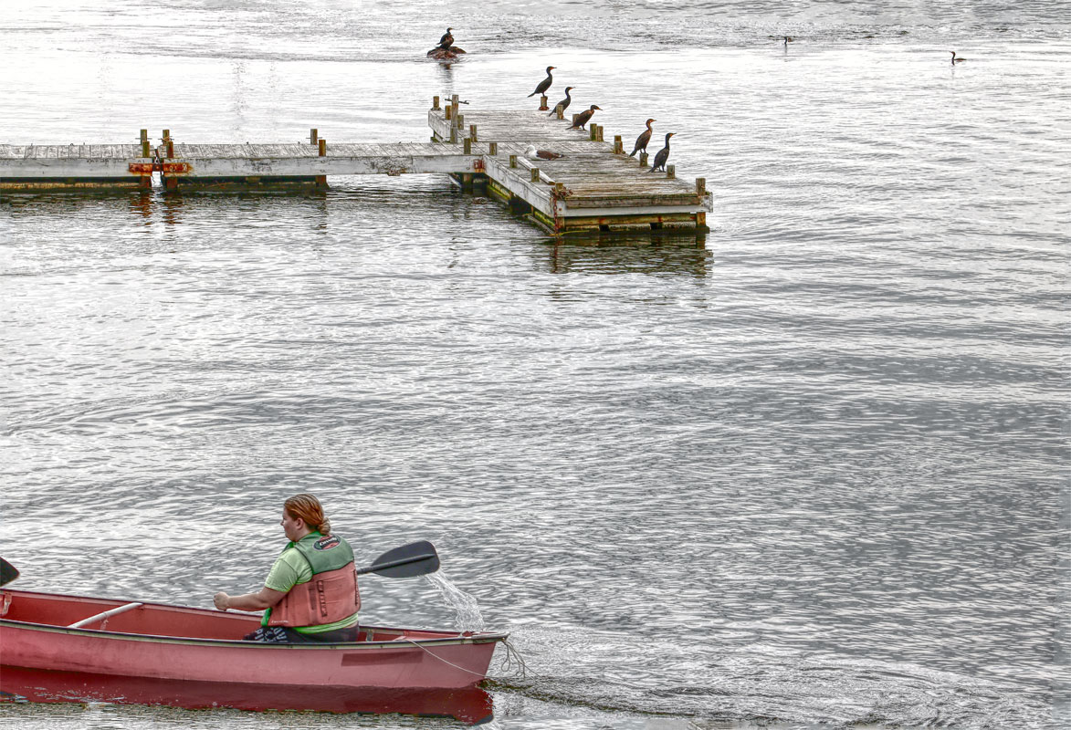 The boat watchers