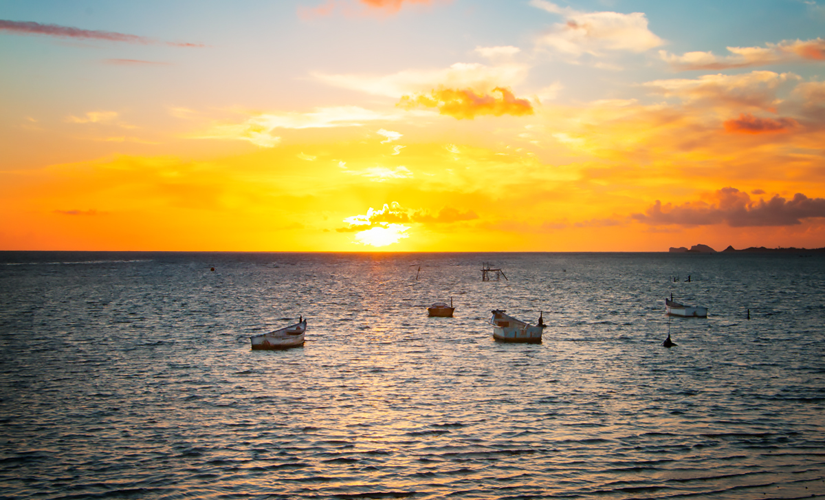 Morning Boats