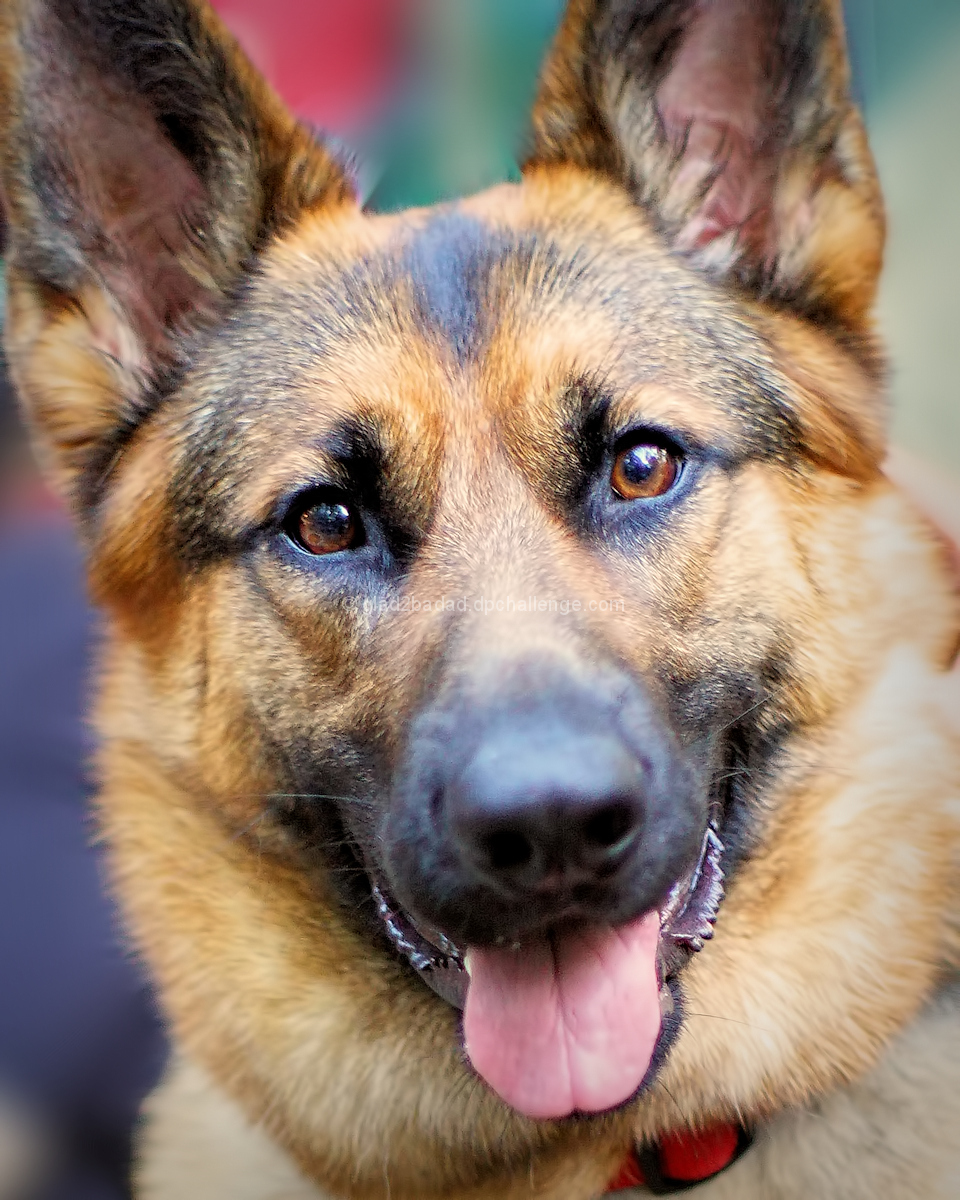 Kaiser