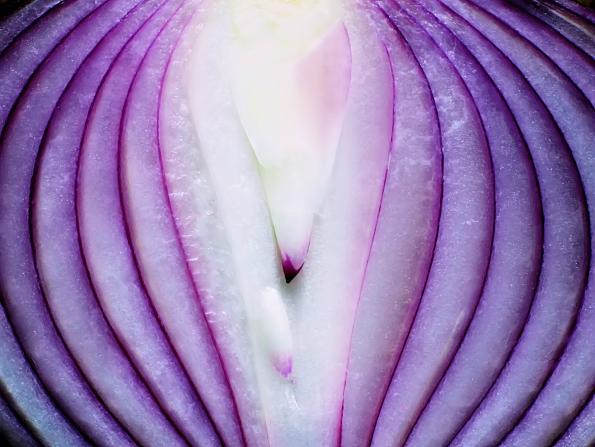 Cut Onion