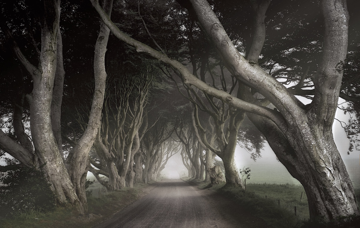 The Dark Hedges