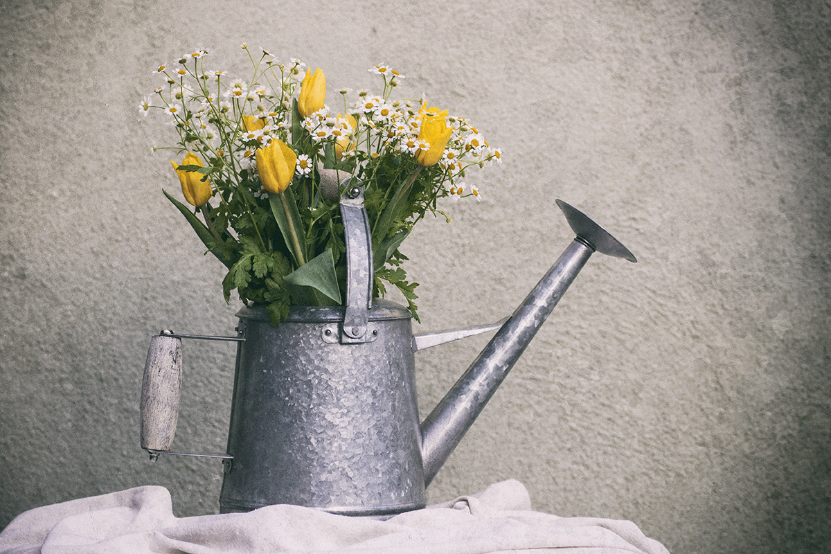 Watering Can