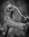 Helping Hand in the Garden