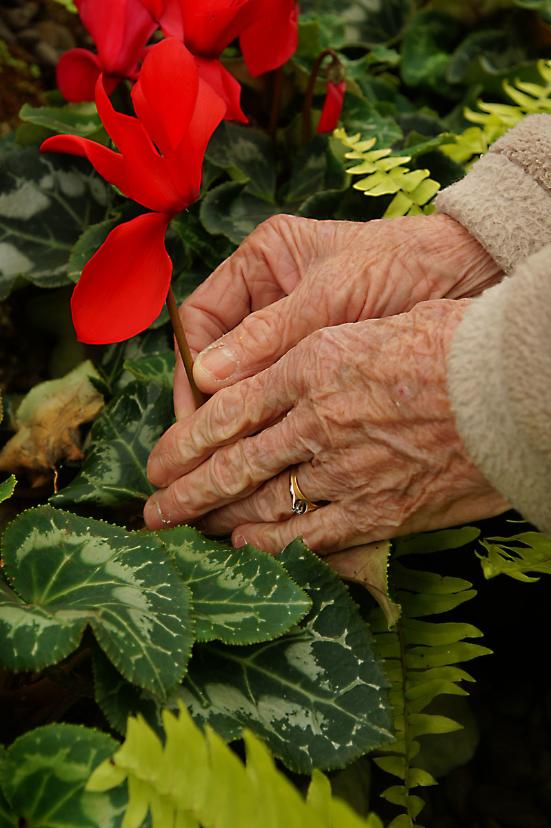 green fingers.