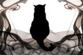 Puddy