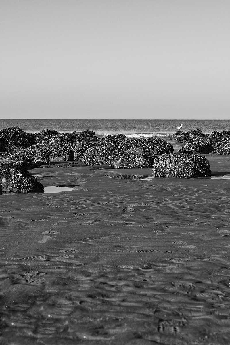 Winter at the Beach