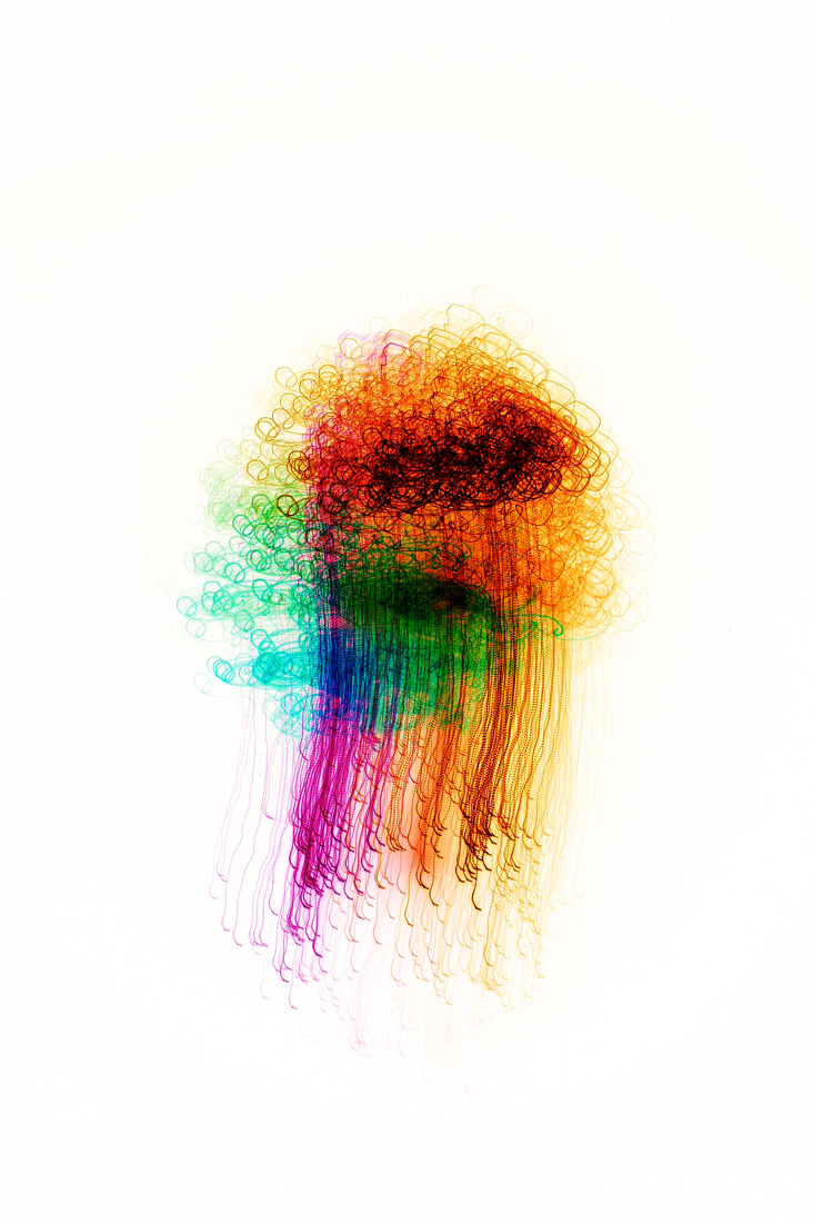 Multicolor medusa
