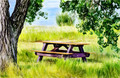 Picnic Spot
