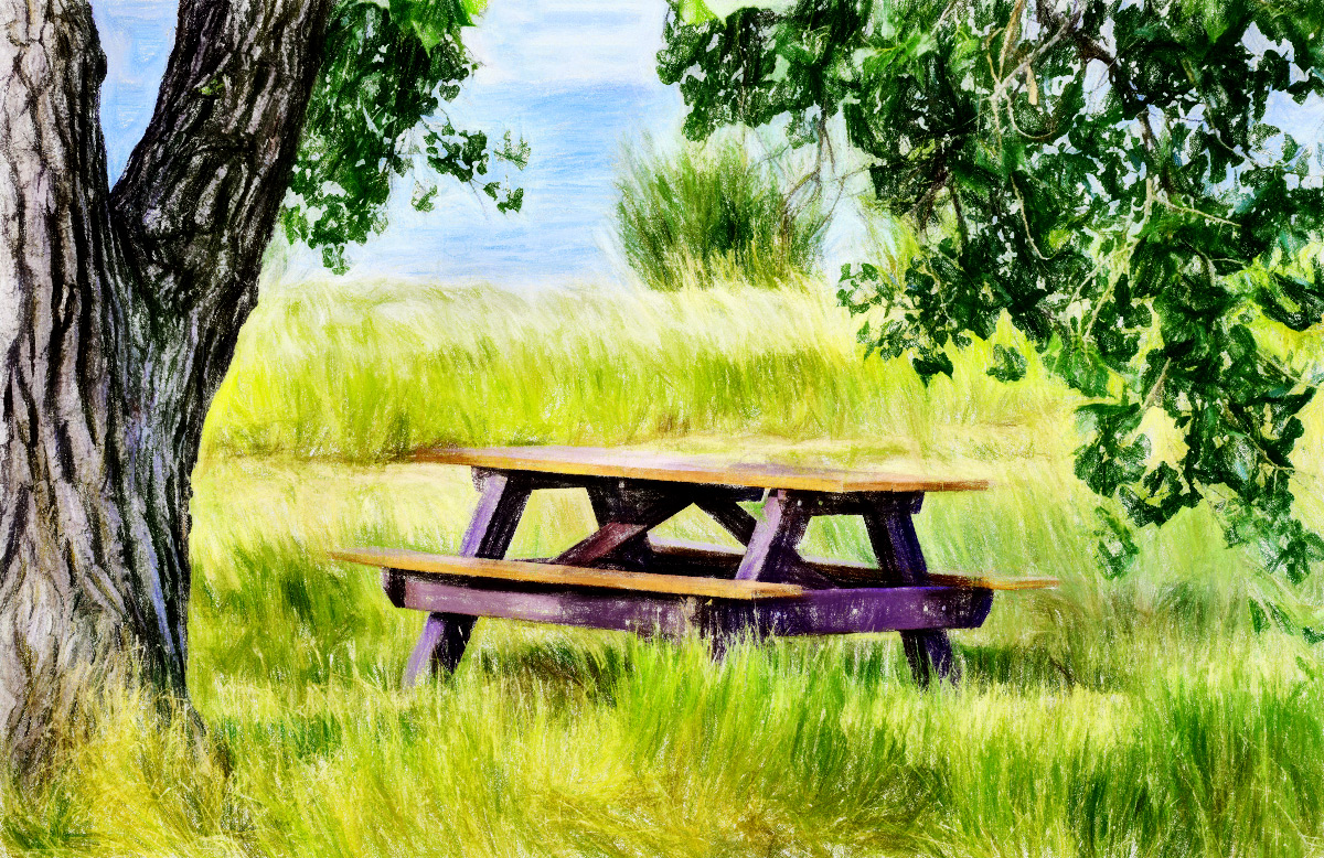 Picnic Spot