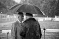 British Summer 2017