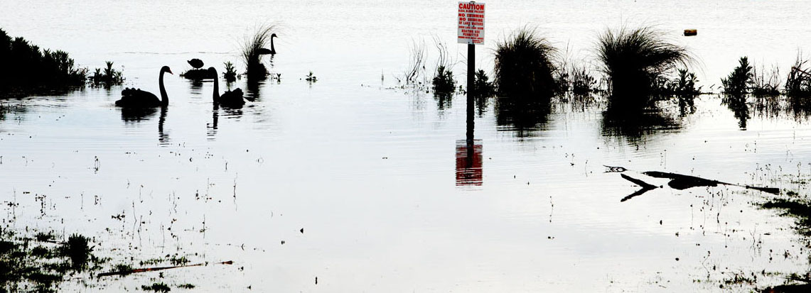 The Lake, NOT Clean Not Green., but the ducks don't care.....