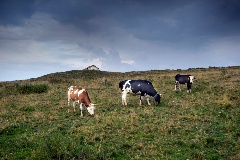 The farm up the hill