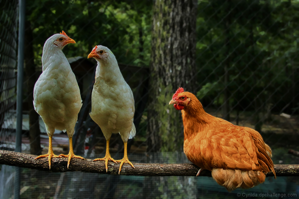 No gossiping over there.