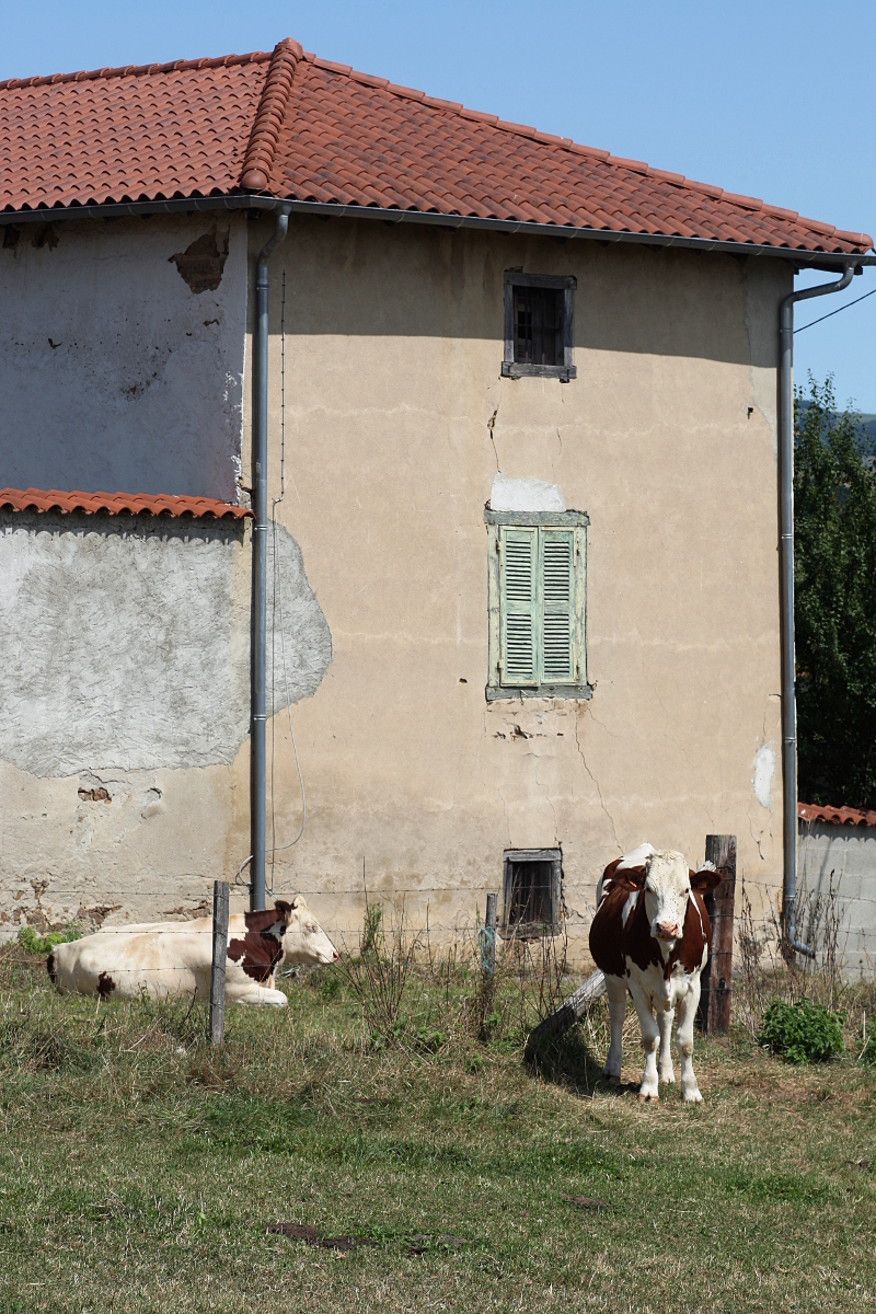 Can't we take a nap quietly?