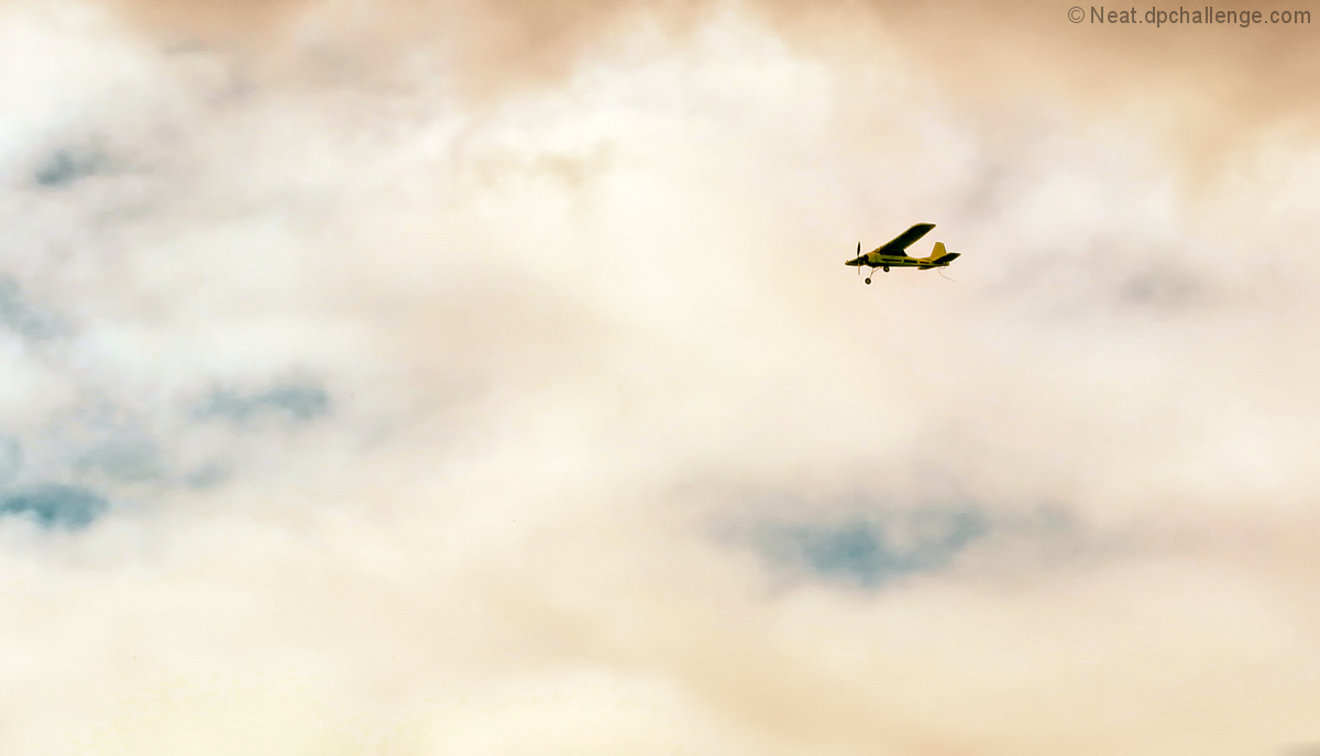  Remote controlled plane 