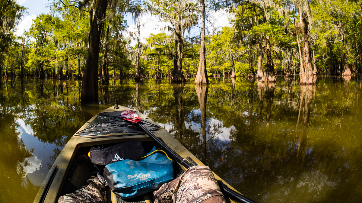 Just a Guy & His Kayak in a Swamp