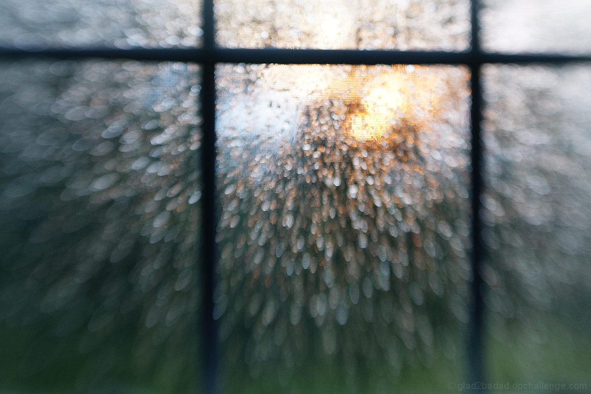 sunlight on a rain soaked screen