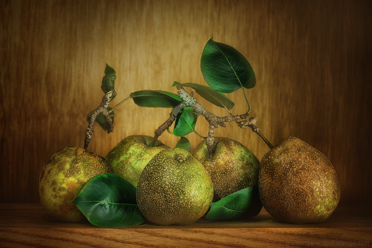 Sand Pears
