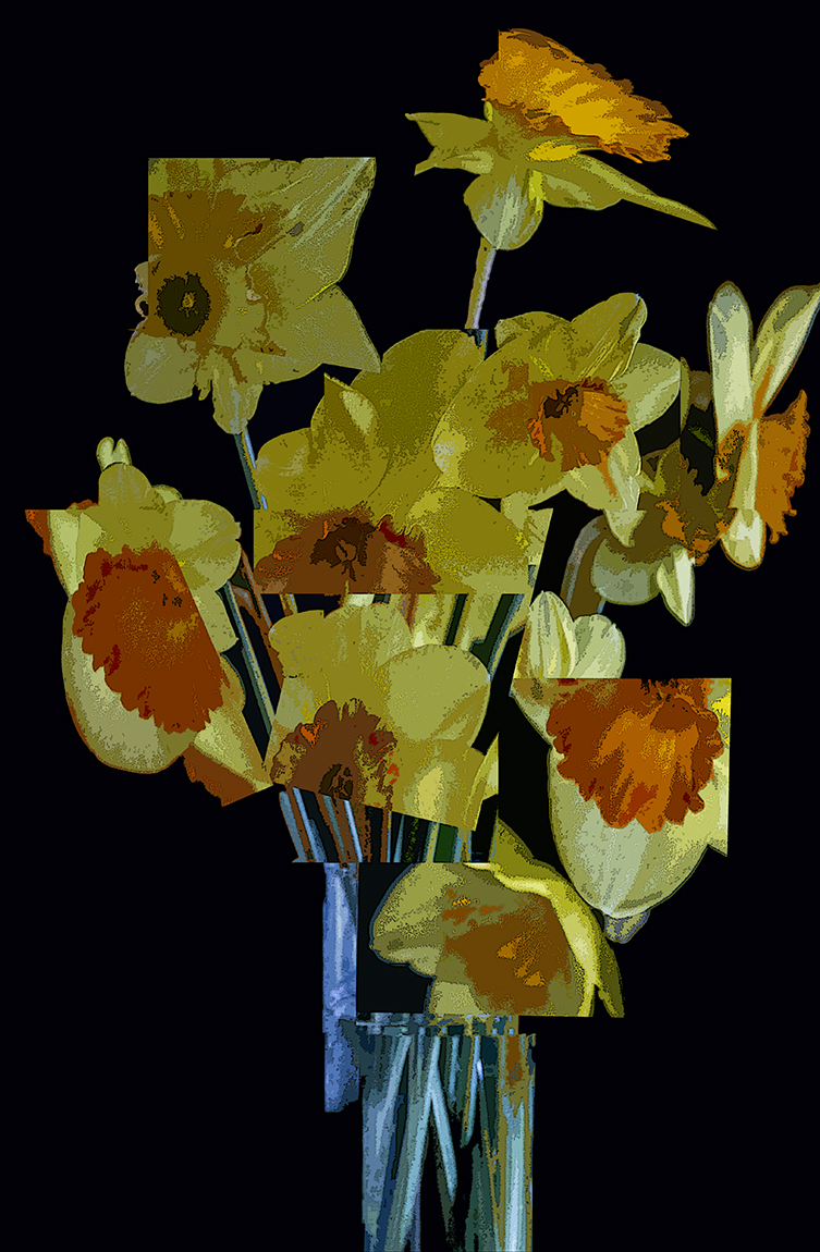  Daffodil Cubes