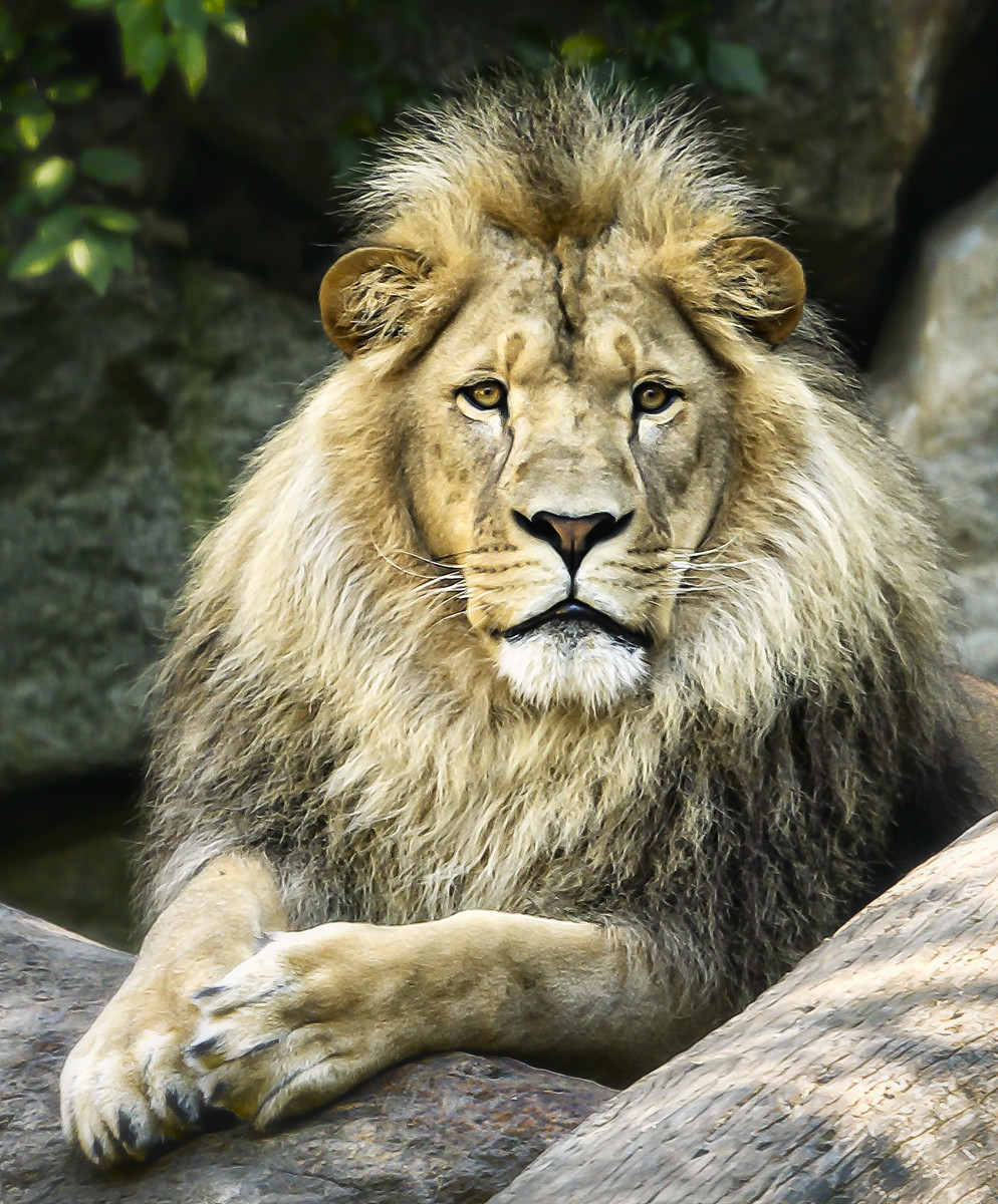 King