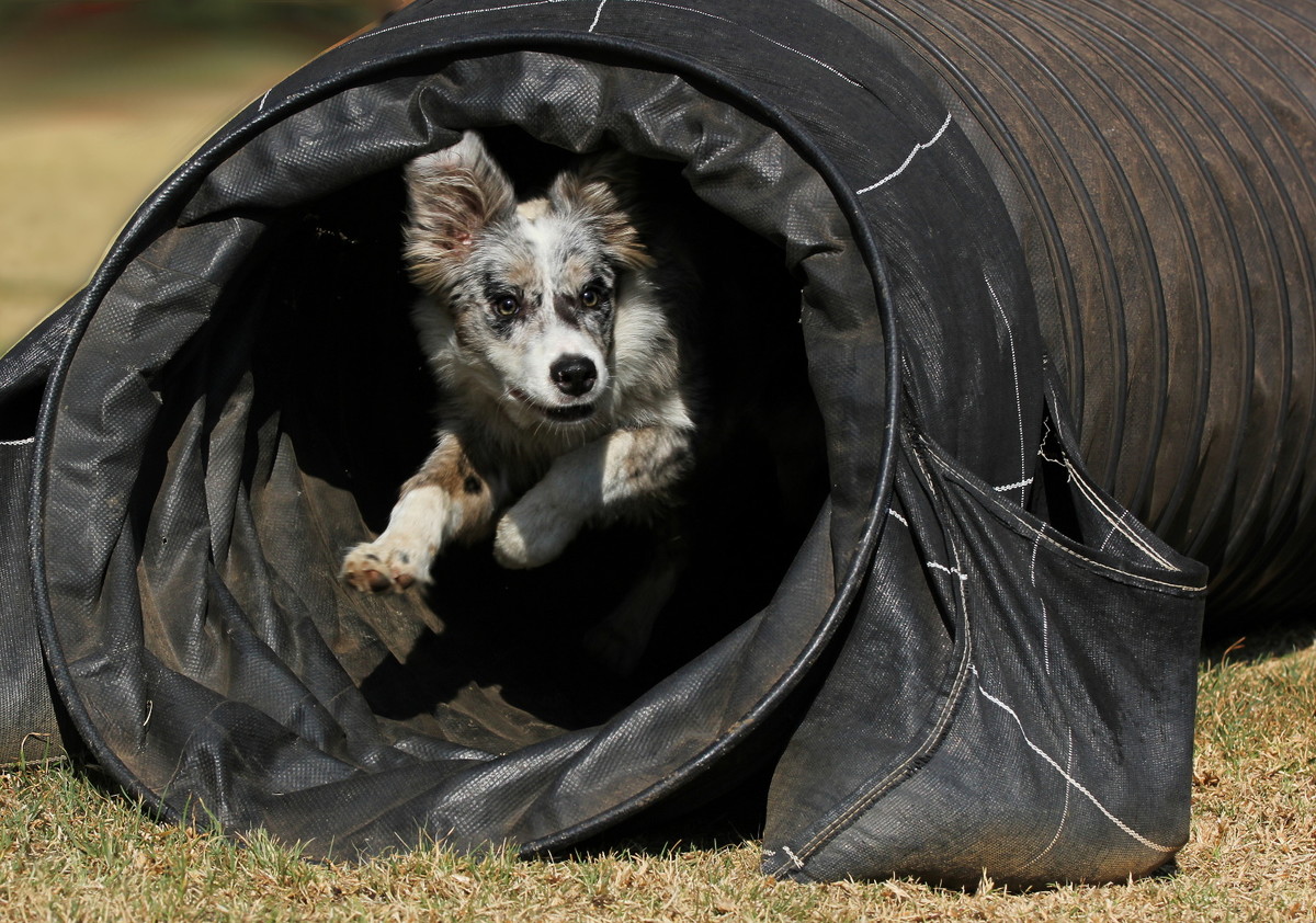 Tunnel games