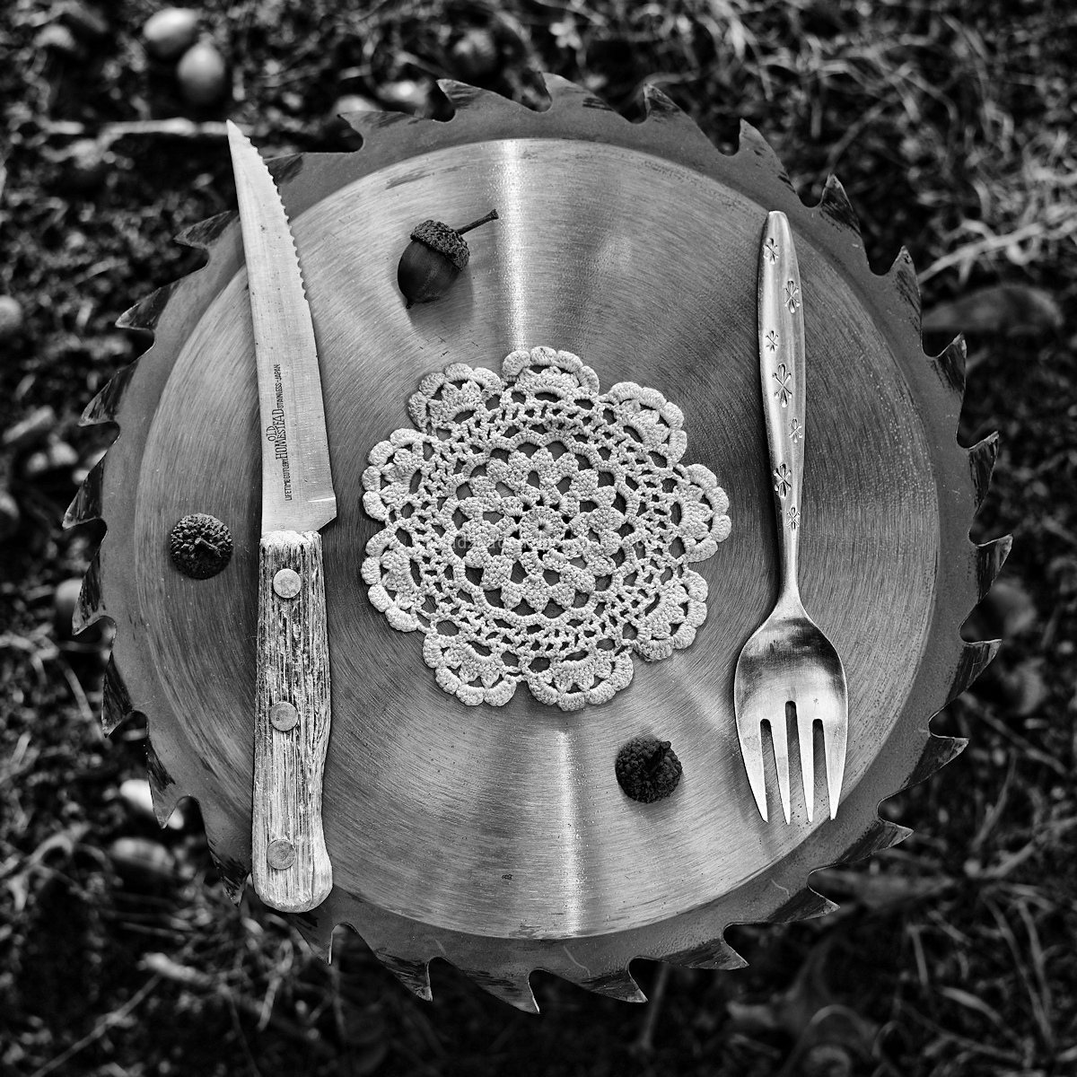 Acorns Alfresco