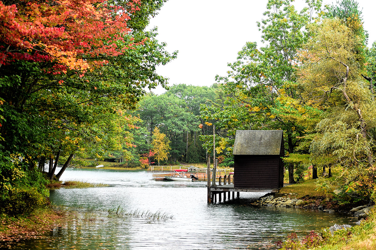 Paddy Creek boat dock