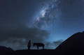 Horsemen standing under milkyway