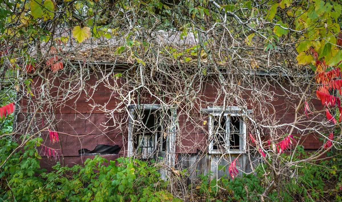 House Abandoned
