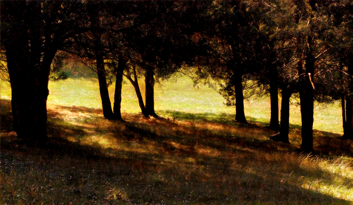 copse