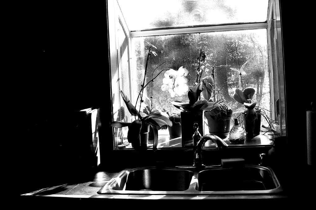 The Kitchen sink