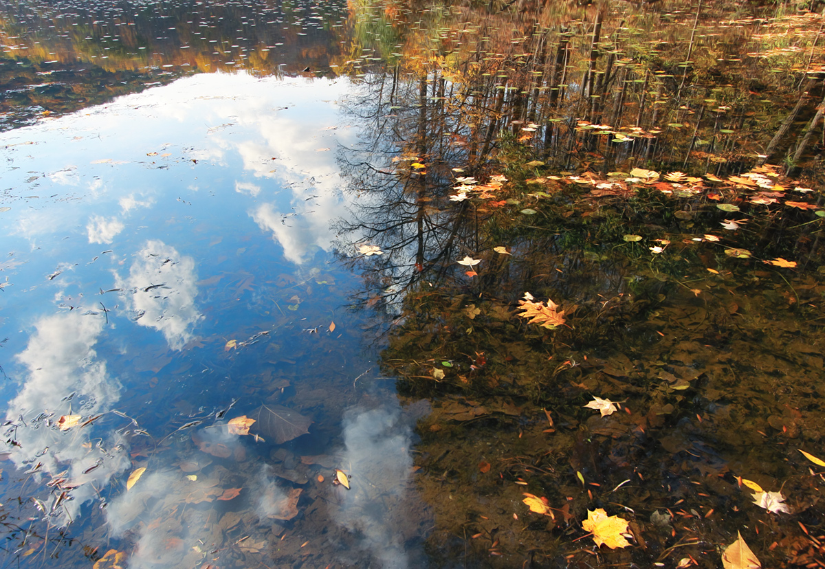 The Tao of Heaven and Earth