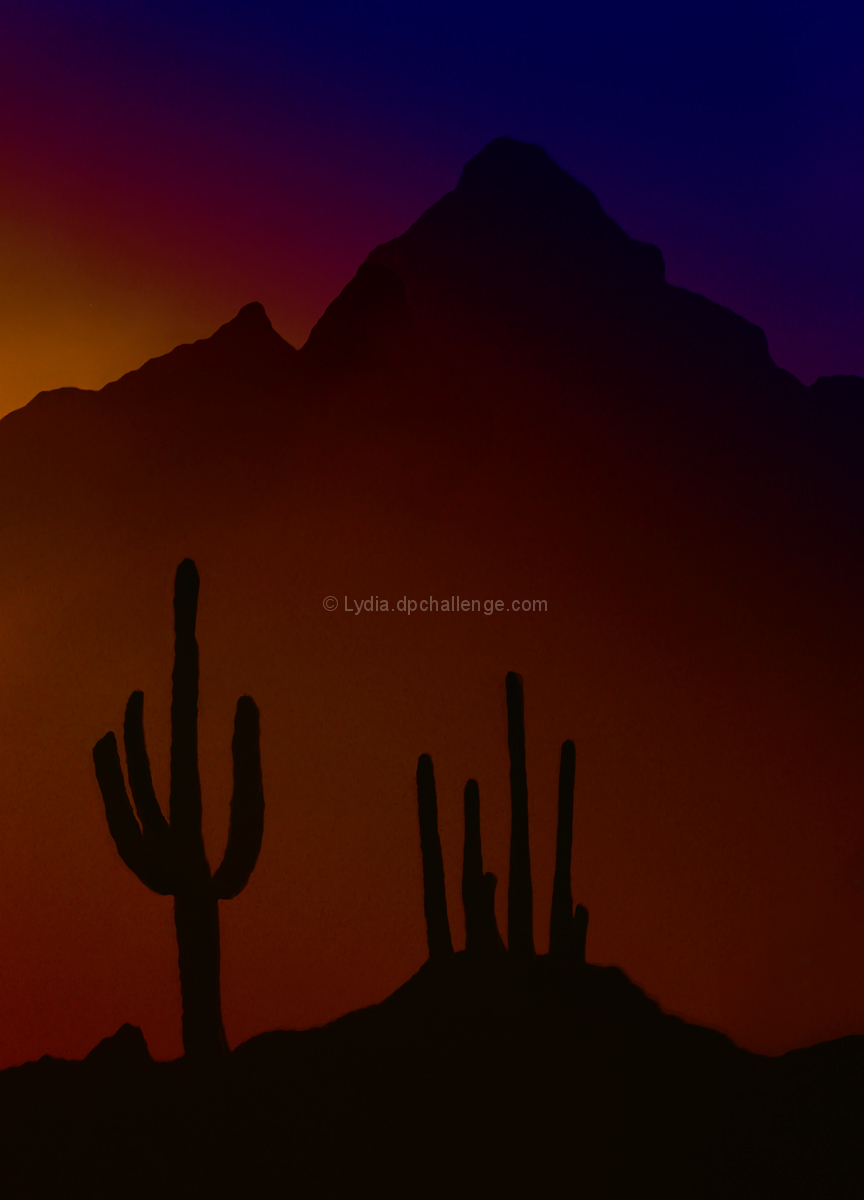 Cacti at Sunset