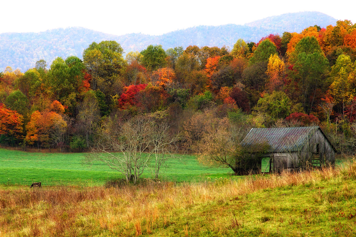 Shenandoah Foothills