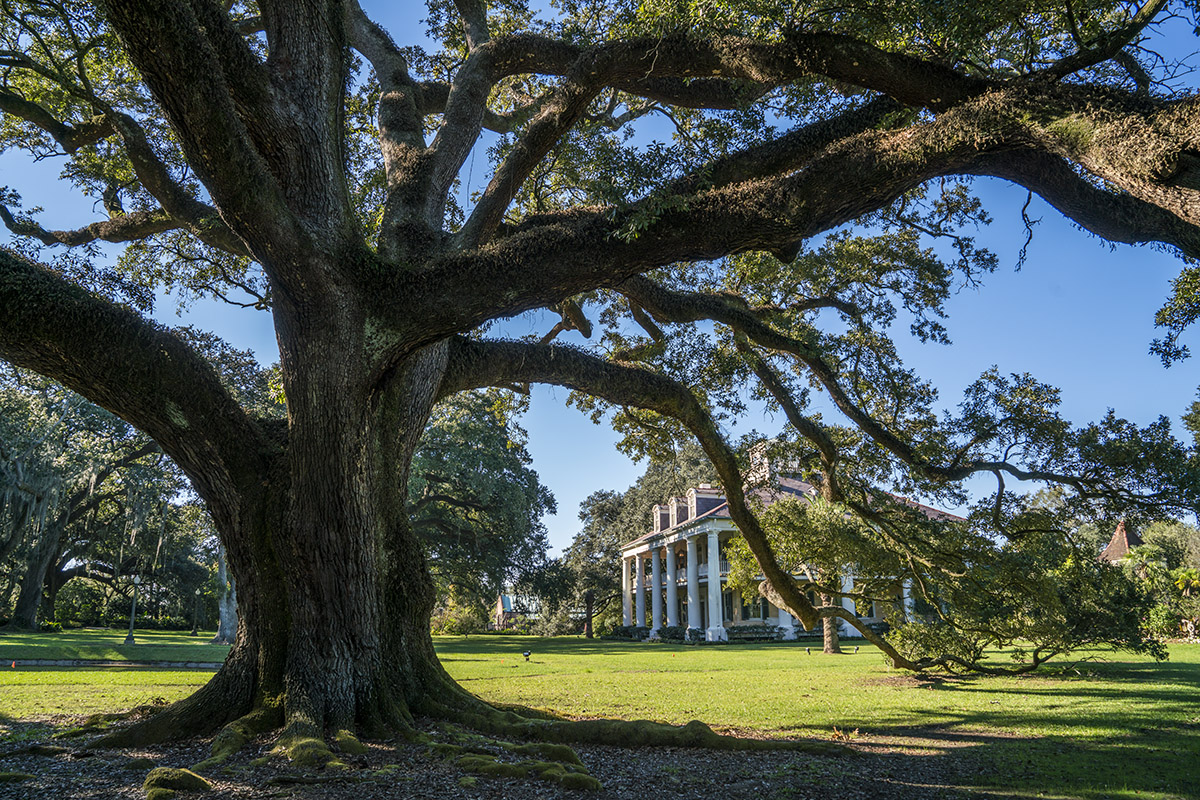 Houmas Plantation