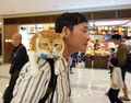 What? Never seen a cat at the mall? 