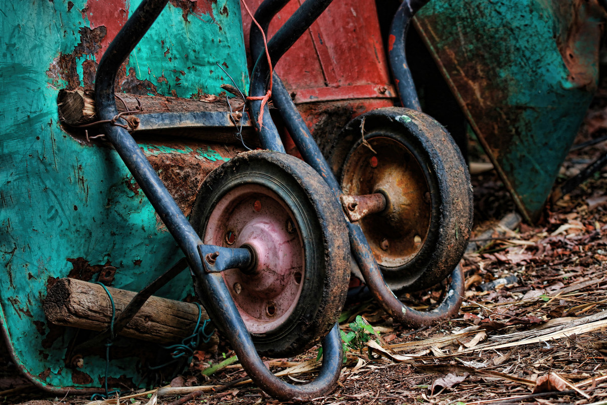 Wheelbarrows at the local garden service