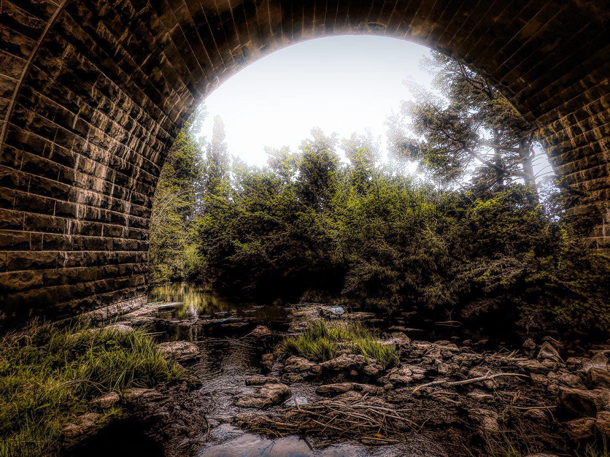 Beneath the Bridge