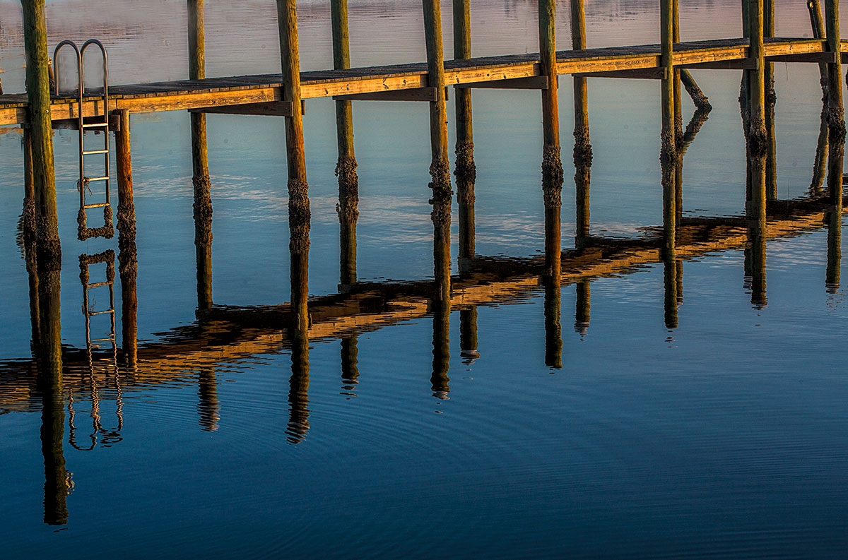 Dock Reflections