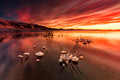 I love sunset
