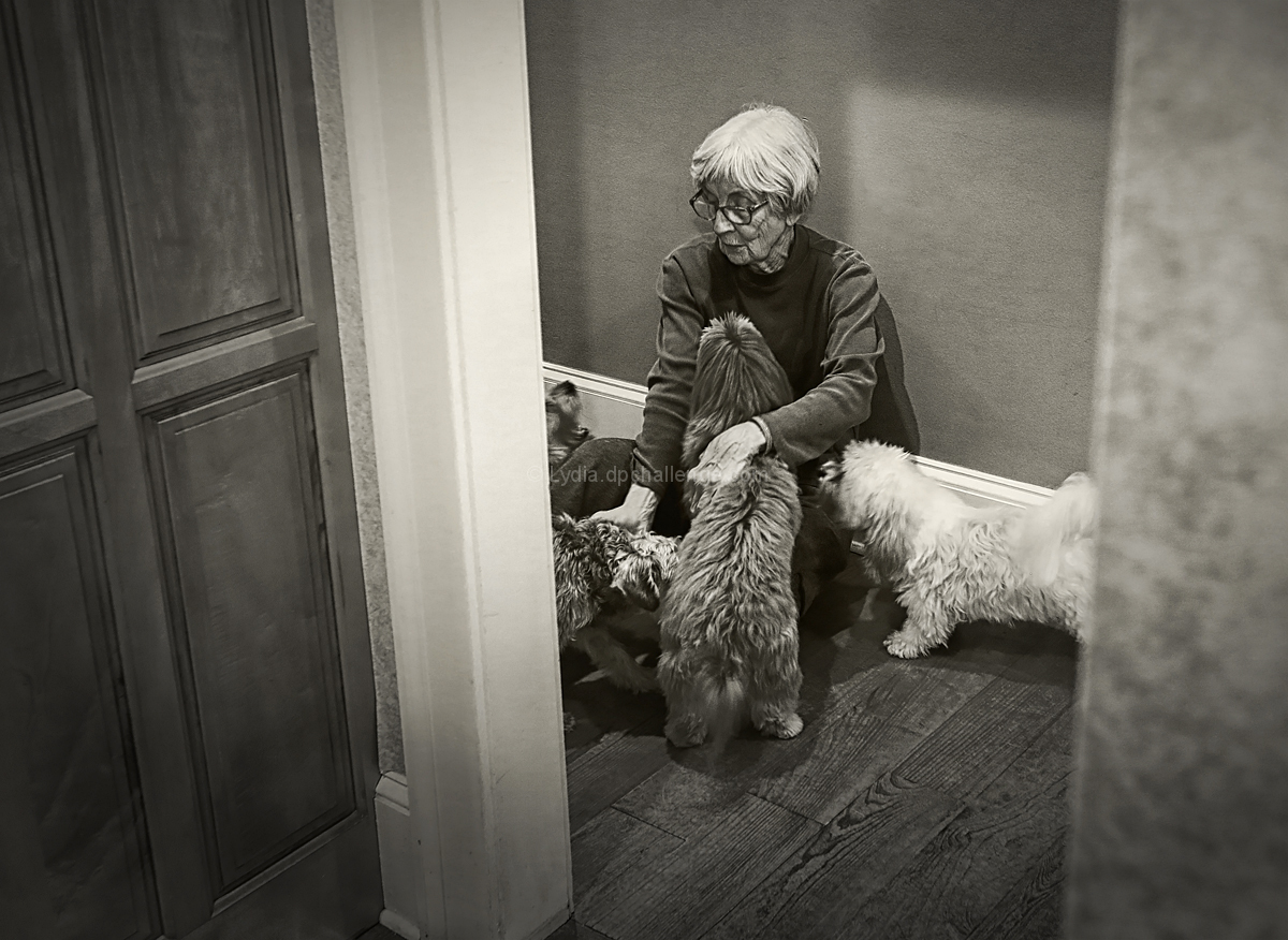 Dog Lady