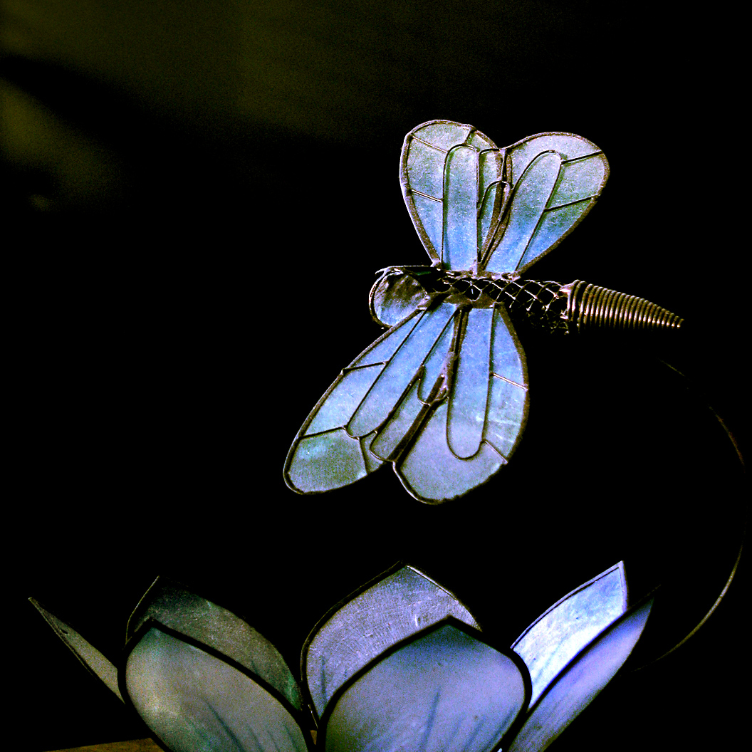 Blue Dragonfly