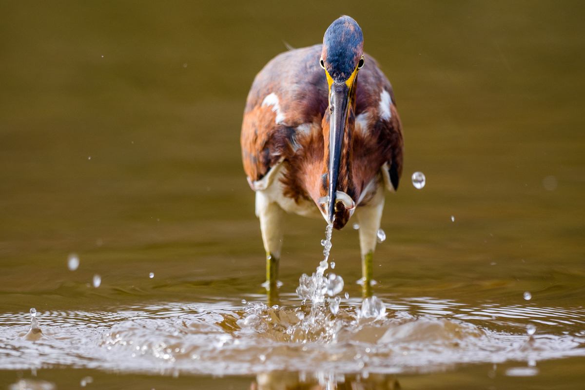 A Little Fishing